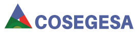 Cosegesa